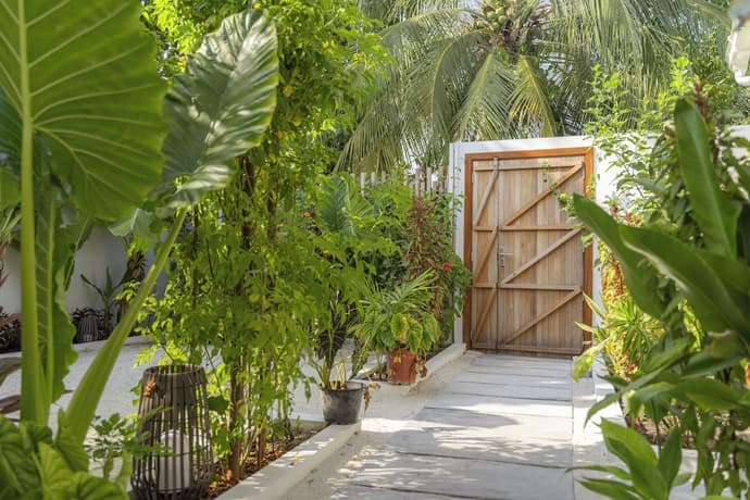 Oasis Dhigurah, Primary image