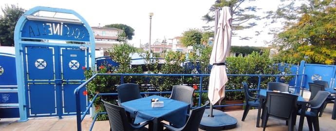 Coccinella, Primary image