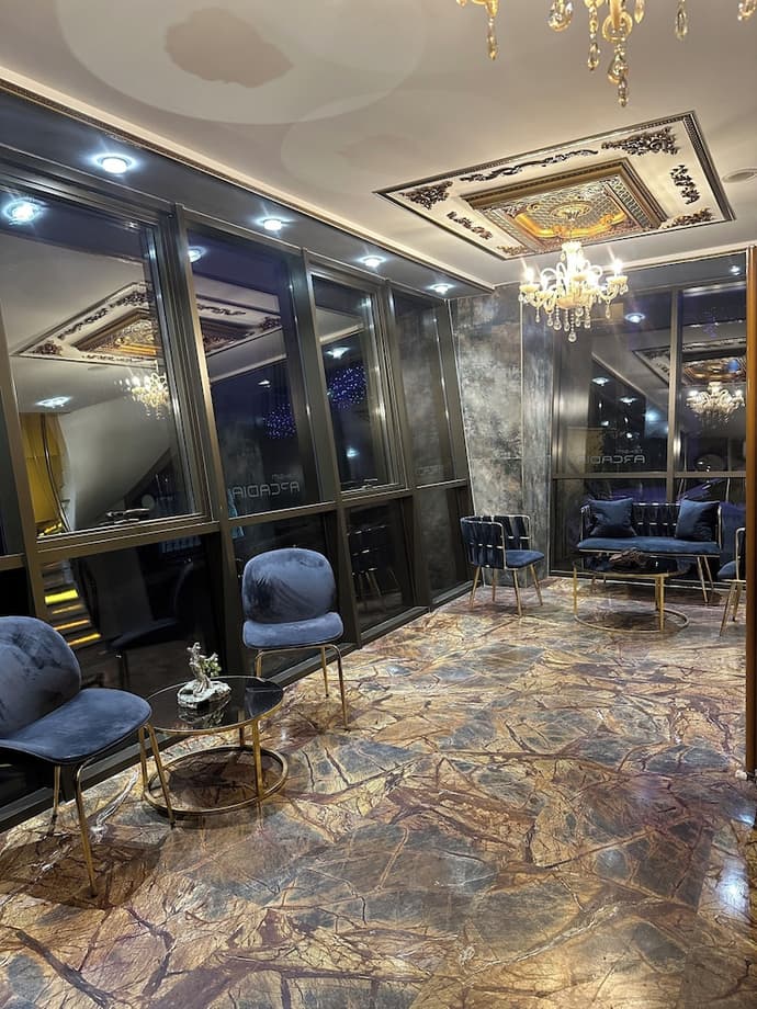 new arcadia taksim, Reception