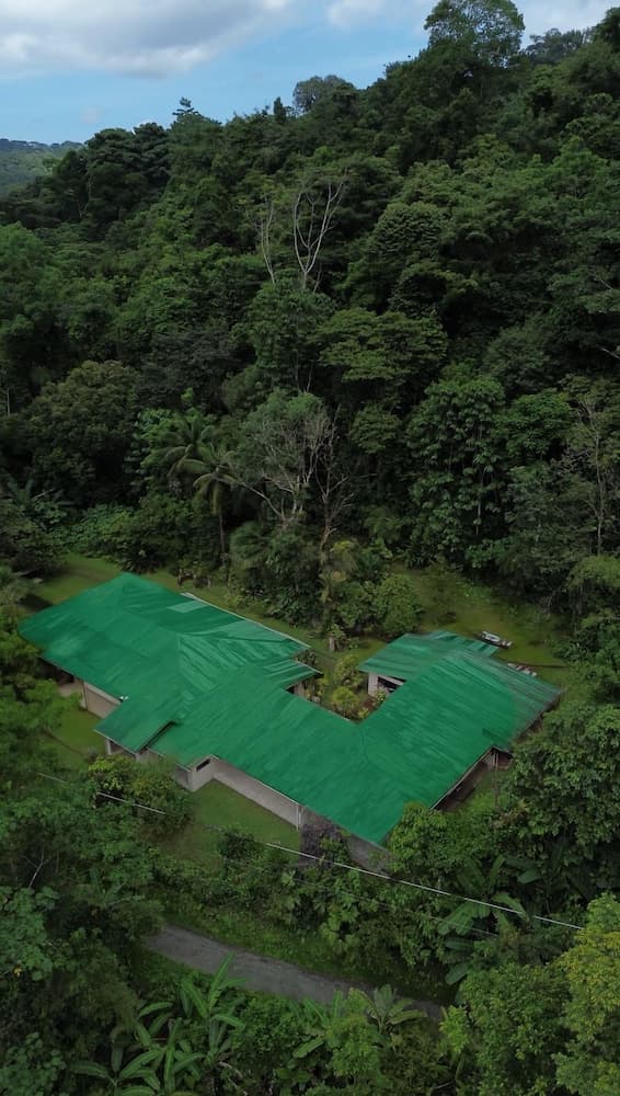 Ventanas en Corcovado, Primary image