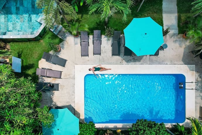 Wide Mouth Frog At Quepos, Primary image