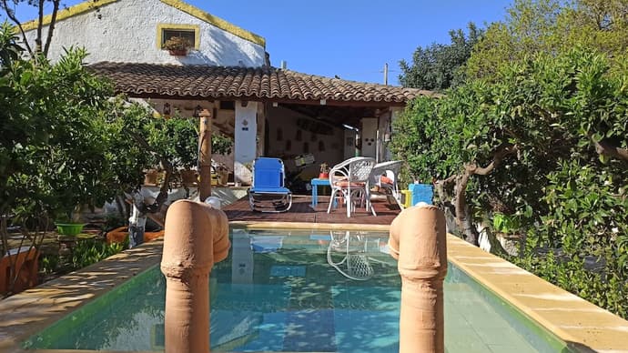 Zagara di Sicilia, Primary image