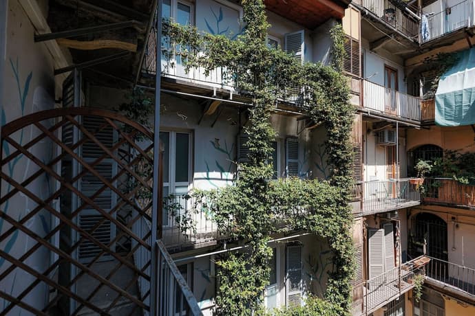 Tomato Backpackers, Primary image