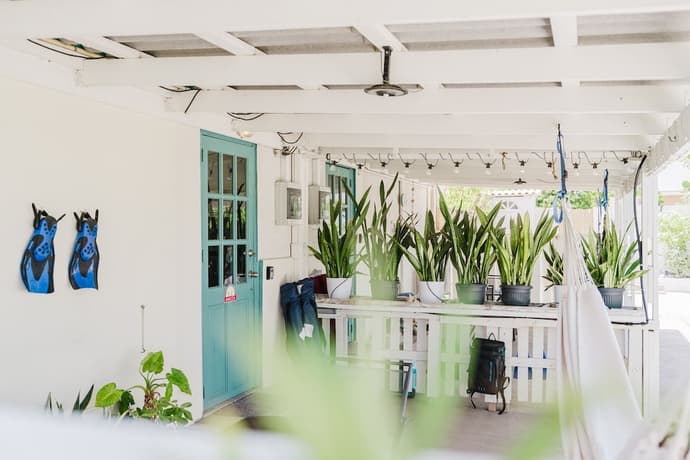 Mangel Halto Aruba one Minute Walk to Beach Apt2, Room