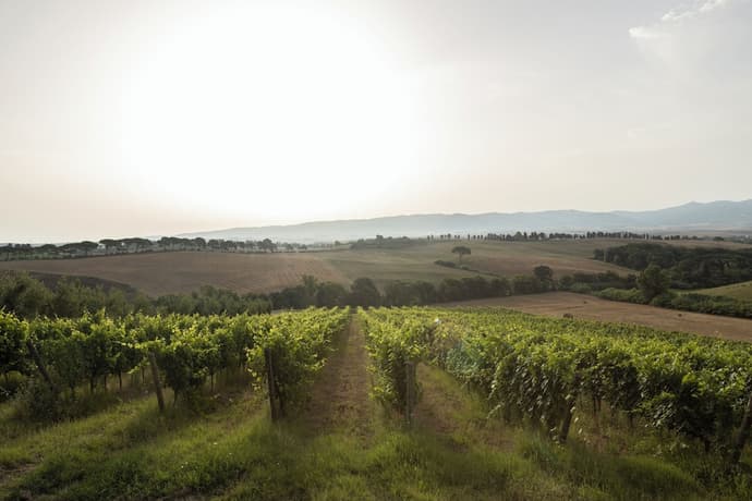 Agriturismo Cappellese, Primary image