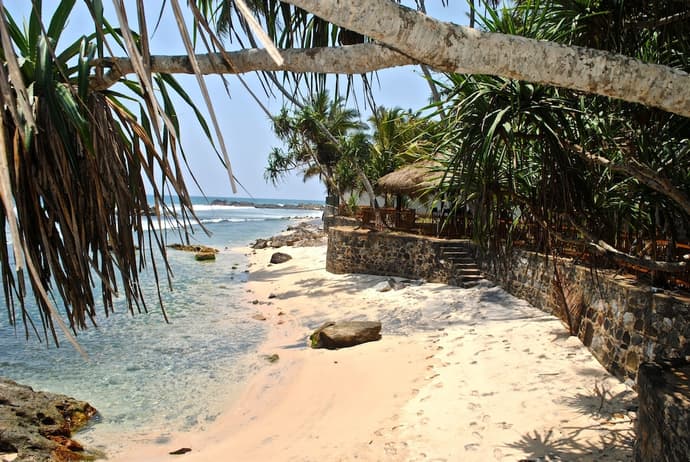 SATIN DOLL, Primary image