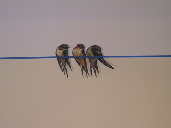 B&B A Casa delle Fate, Lobby