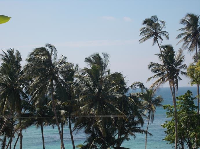 Peacock Wings Guest House, Primary image
