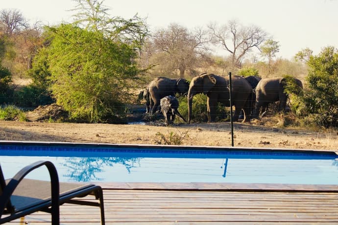 Masodini Private Game Lodge, Primary image
