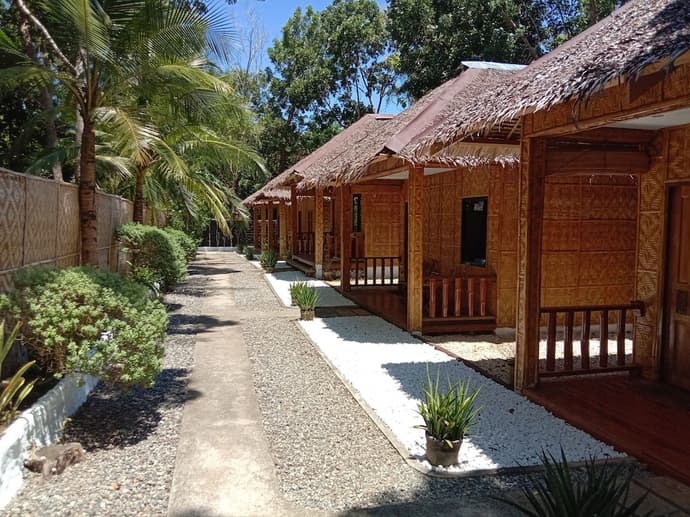 Alona Pawikan, Primary image