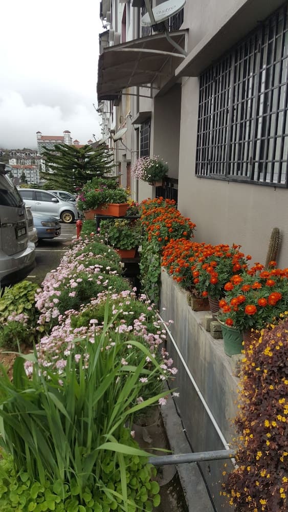 KPW at Royal Lily Apartment, Primary image