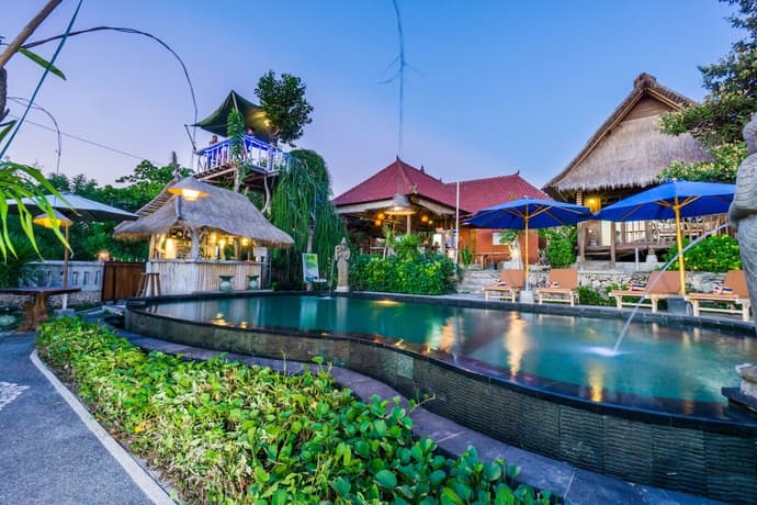 The Dafish Ceningan, Primary image