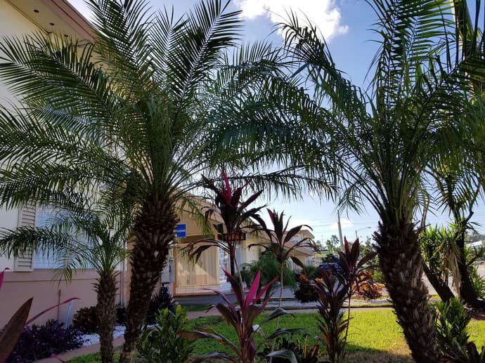 Parkway Inn Airport Motel Miami, Primary image