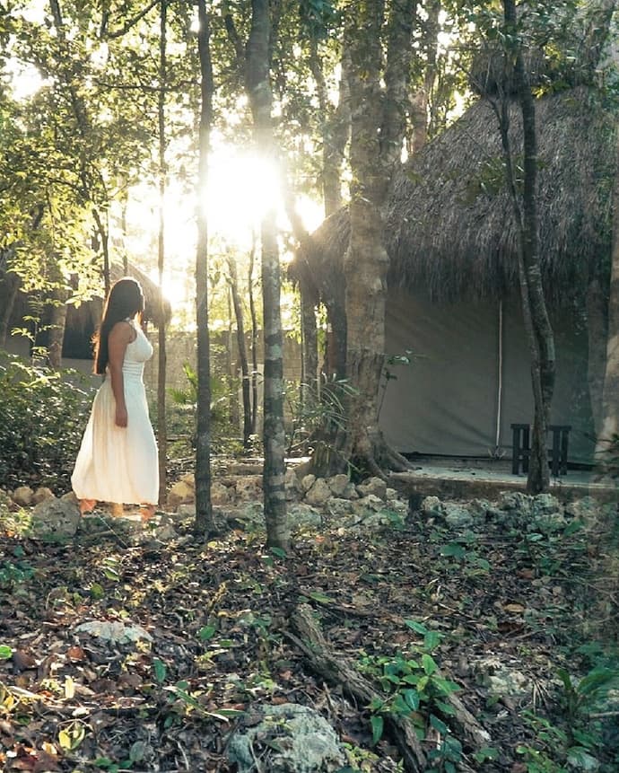 Akumal Natura, Primary image