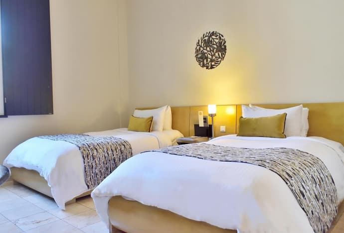 Hodelpa Nicolas de Ovando, Primary image