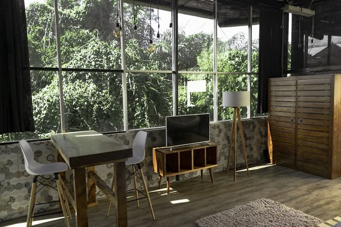 The Paica, Primary image