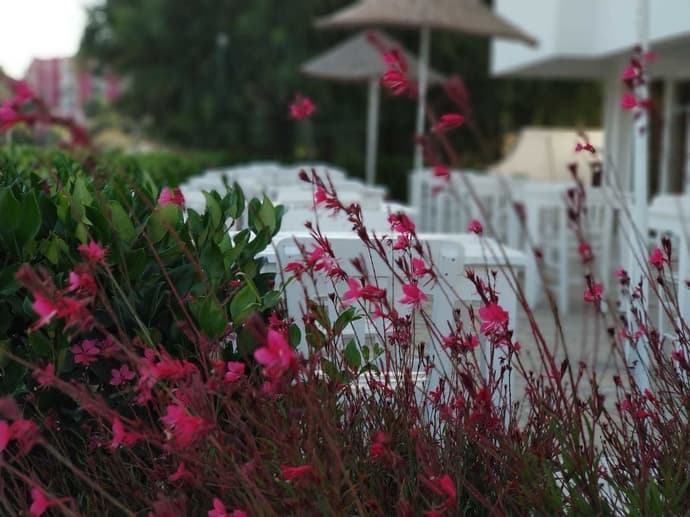 Cicek Apart Hotel, Primary image