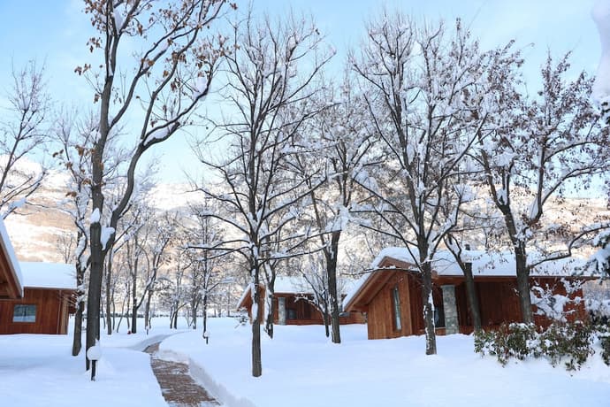 Lazy Bee Camping Village, Primary image