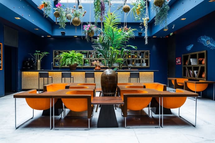 1K Paris, Primary image