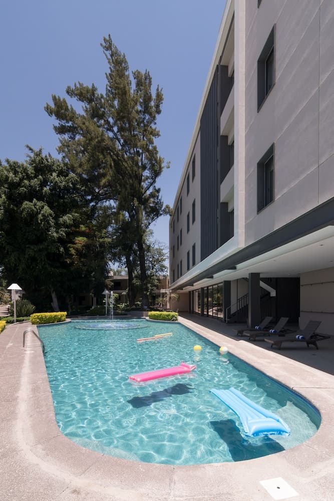 Ronda Minerva, Primary image