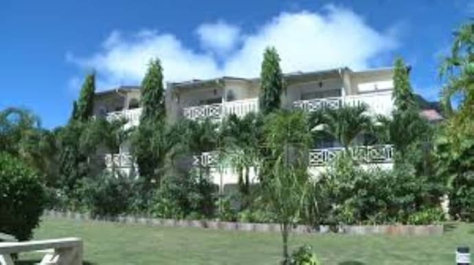 Coco D'Or, Primary image