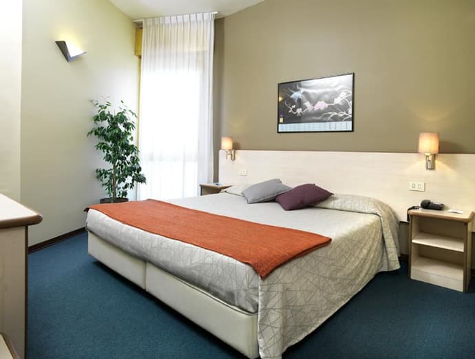 Hotel Ristorante Alcide, Primary image