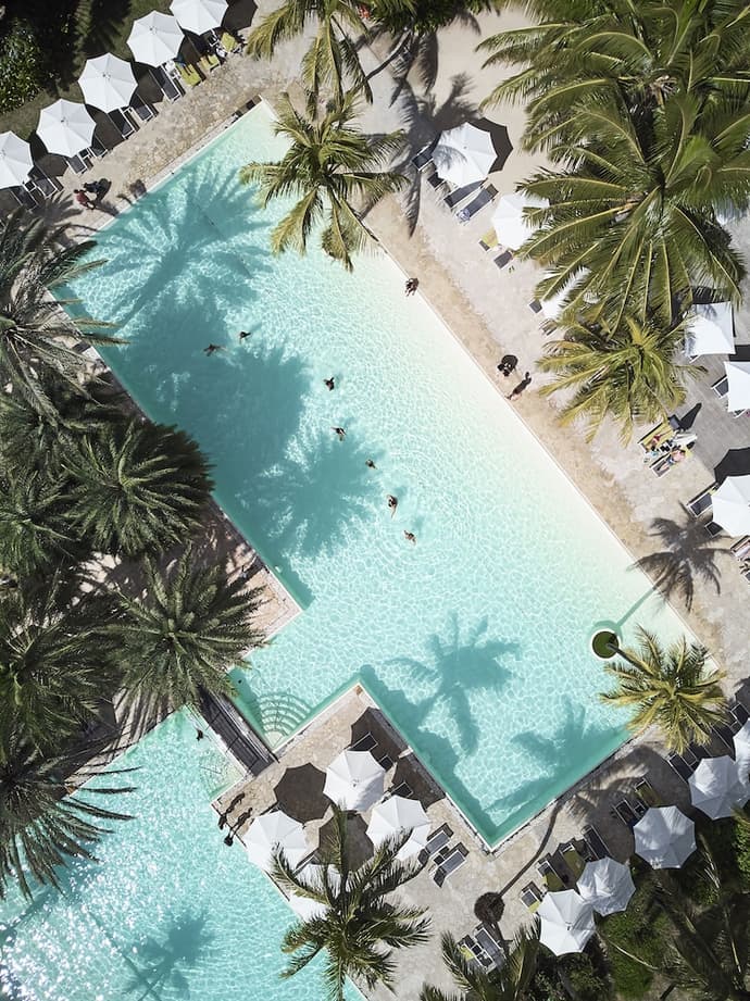 The Ravenala Attitude, Primary image