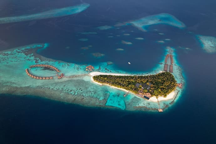 Coco Bodu Hithi, Primary image