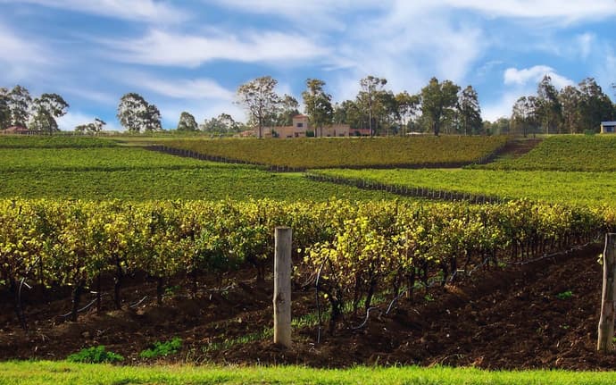 Estate Tuscany, Reception