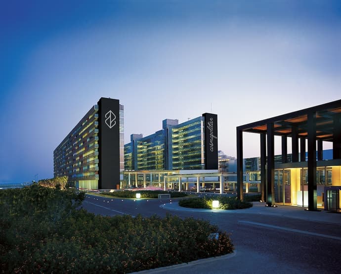 Nirvana Cosmopolitan, Primary image