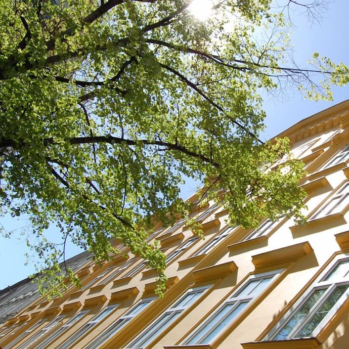 Saint Shermin, Primary image