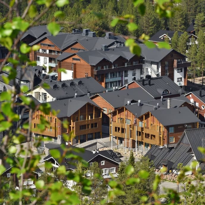 Levi Suites Levi Gold, Primary image