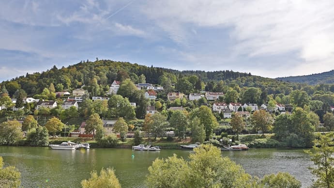 Hotel Neckarlux, Primary image