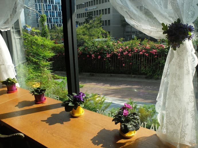 Ehwa in Myeongdong, Primary image