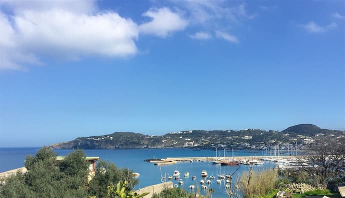 Harbour View, Primary image