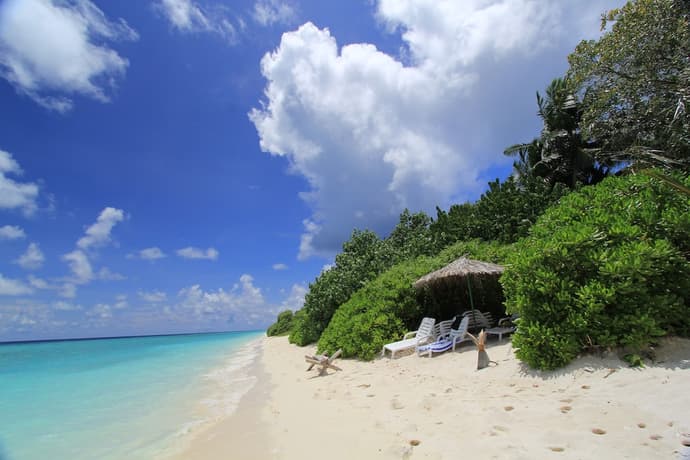 Paguro Beach Inn, Primary image