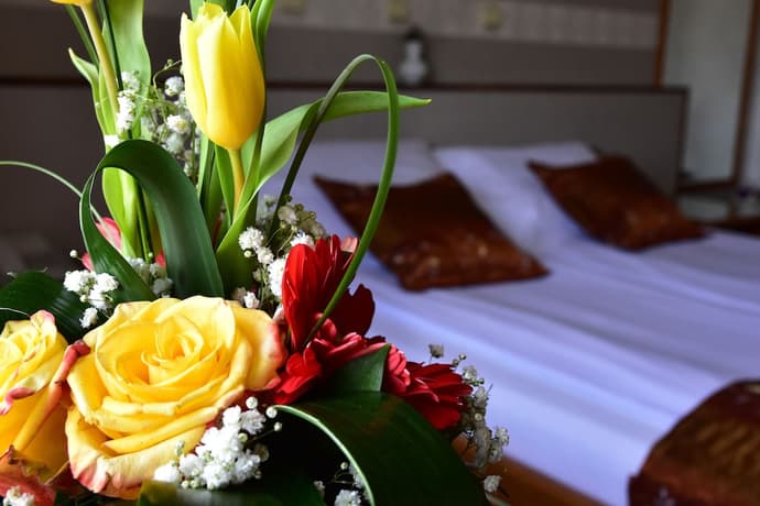 Hotel Lav, Primary image