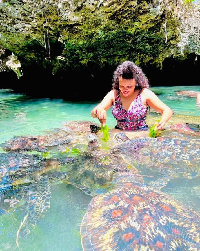 Baraka Aquarium Bungalows, Primary image