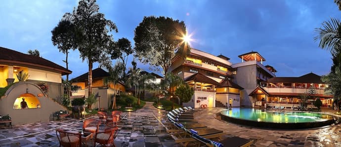 The Elephant Court, Primary image