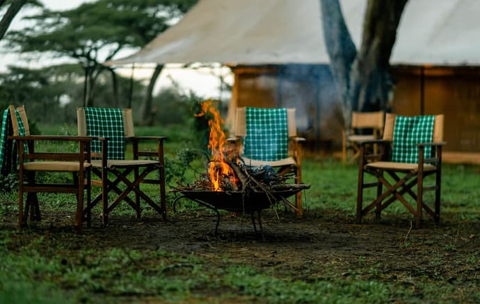 Gnu Ndutu Camp, Primary image