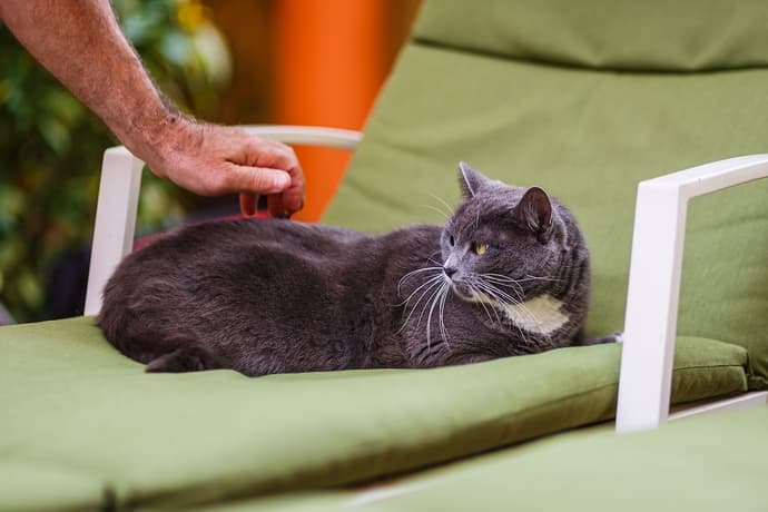 Kaam Accommodations, Primary image