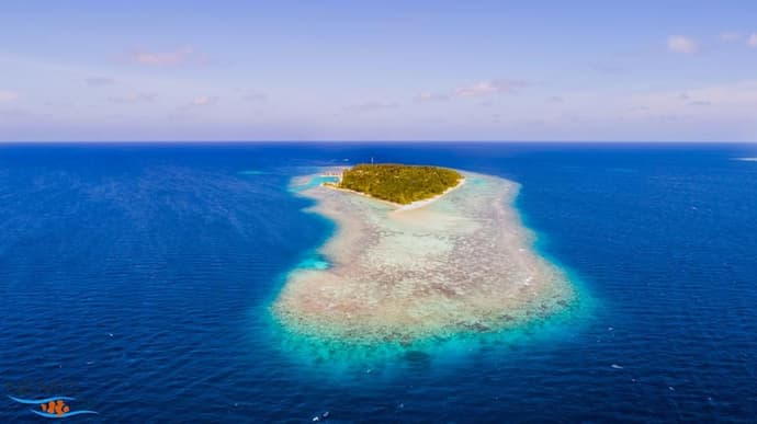 Nemo Inn, Primary image