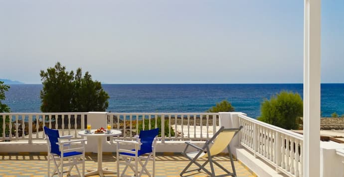 Dolphins, Primary image