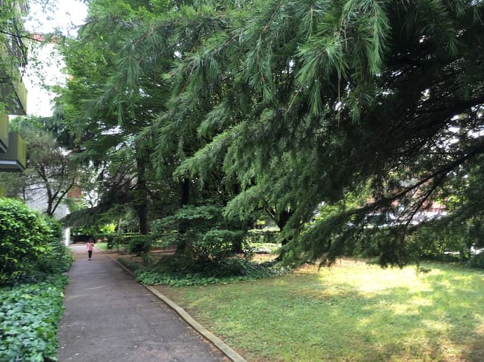 Bed and Breakfast Bio Salix, Primary image