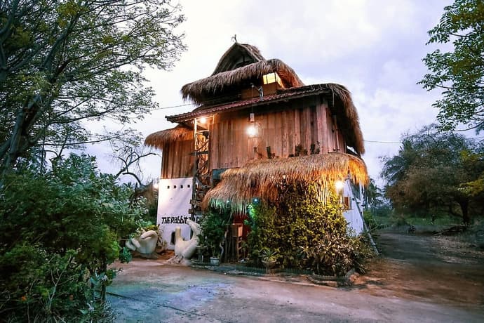 The Rabbit Tree - Hostel, Primary image