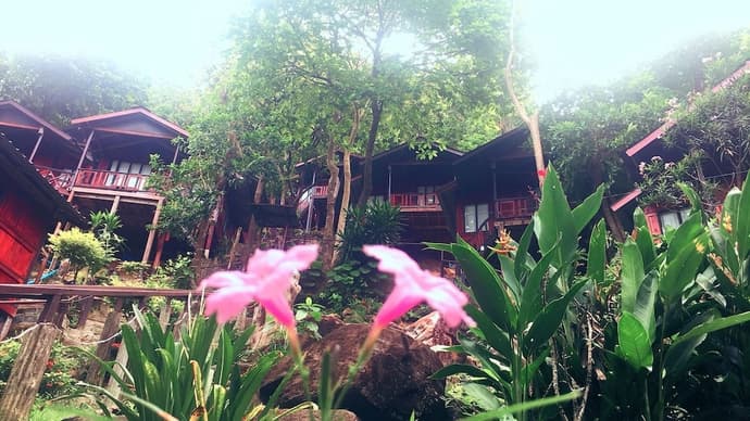 Phi Phi Green Hill Resort, Primary image