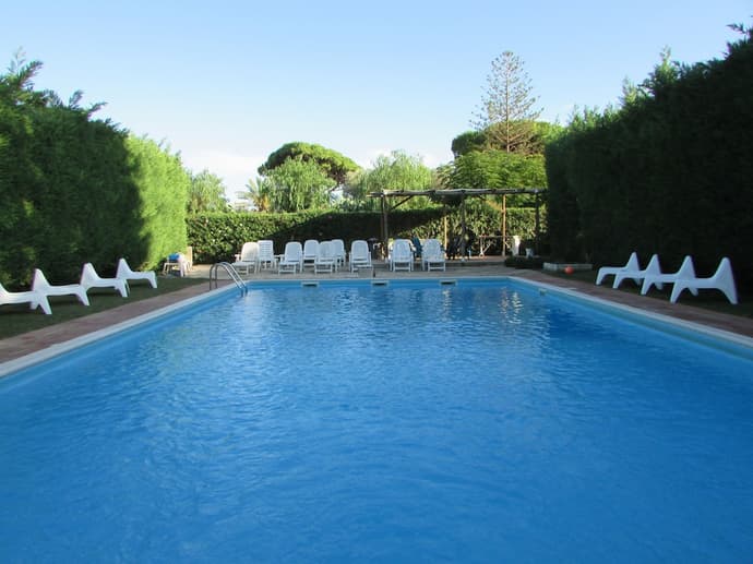 L'Araucaria, Primary image