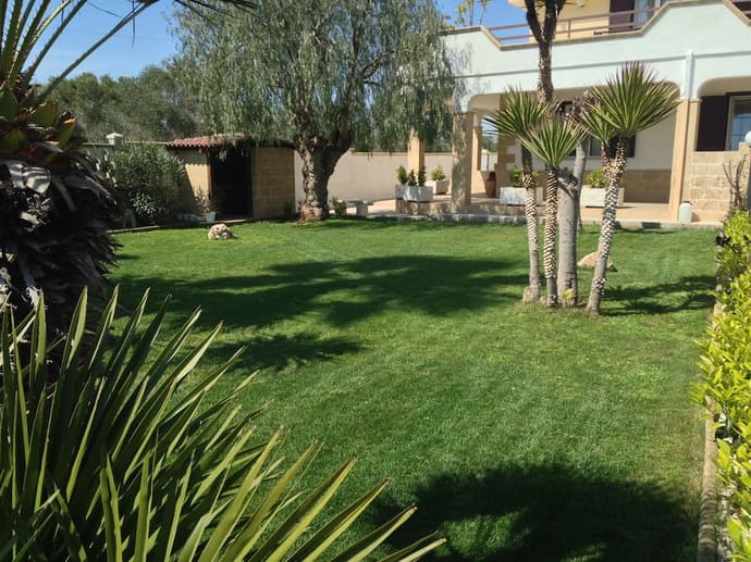 B&B MiMì, Primary image