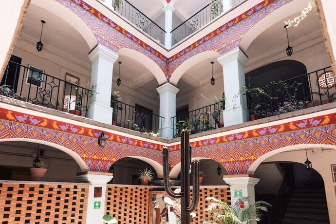 Selina Oaxaca, Primary image