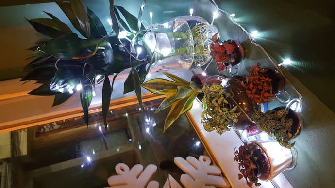 Tam Coc Tuan Minh Homestay, Primary image